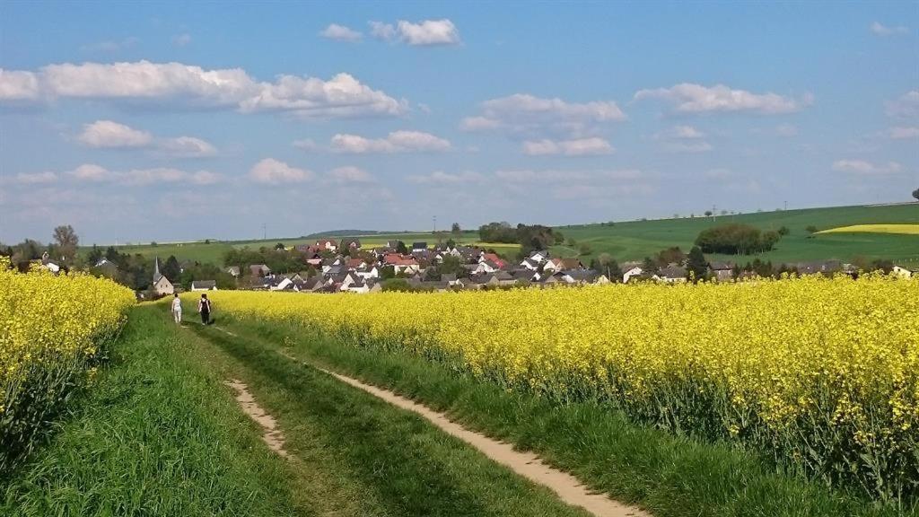 Ferienwohnung Maifeld Wierschem Zewnętrze zdjęcie