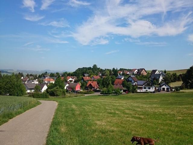 Ferienwohnung Maifeld Wierschem Zewnętrze zdjęcie