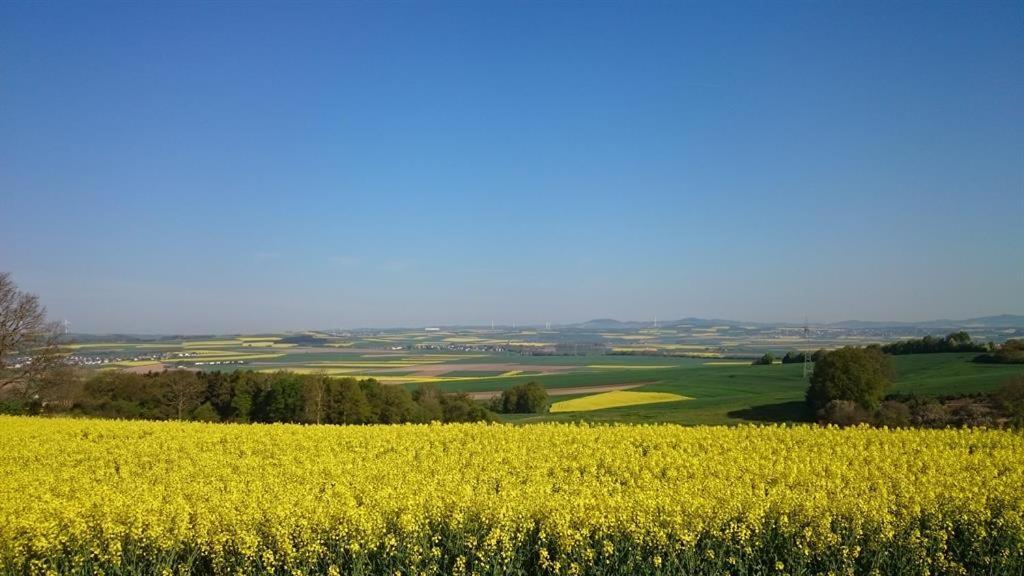 Ferienwohnung Maifeld Wierschem Zewnętrze zdjęcie